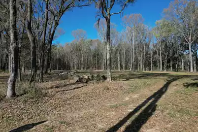 554 Point Comfort Road, Moncks Corner, SC 29461 - Photo 13