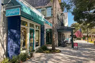 7322 Indigo Palms Way, Johns Island, SC 29455 - Photo 43