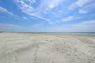 7322 Indigo Palms Way, Johns Island, SC 29455 - Photo 35