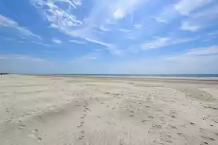 7322 Indigo Palms Way, Johns Island, SC 29455 - Photo 35