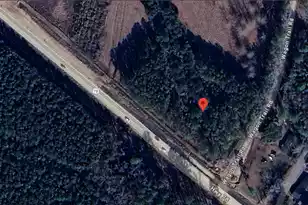 0 Hwy 78, Ridgeville, SC 29472 - Photo 5