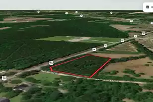 0 Hwy 78, Ridgeville, SC 29472 - Photo 9