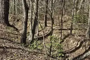 271 Winningham Rd, Summerville, SC 29483 - Photo 15