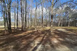 271 Winningham Rd, Summerville, SC 29483 - Photo 23