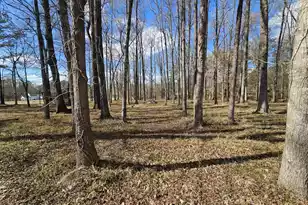 271 Winningham Rd, Summerville, SC 29483 - Photo 19