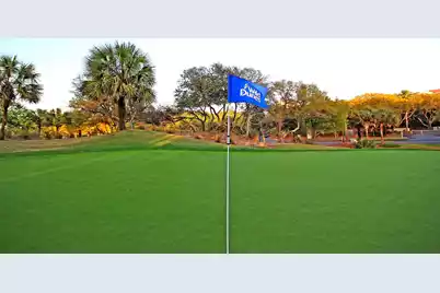 21 Morgans Cove Drive, Isle Of Palms, SC 29451 - Photo 85