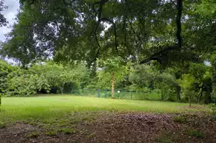 935 Portabella Ln, Charleston, SC 29412 - Photo 11