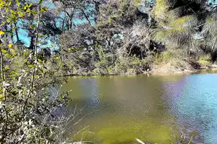 935 Portabella Ln, Charleston, SC 29412 - Photo 7