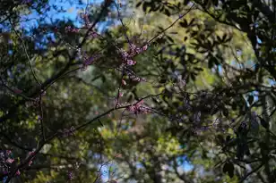 1331 Pelican Watch Villas, Seabrook Island, SC 29455 - Photo 91
