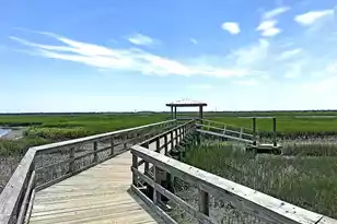 1420 Longspur Dr, Mount Pleasant, SC 29466 - Photo 45