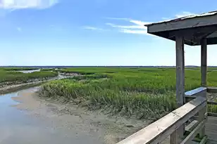 1420 Longspur Dr, Mount Pleasant, SC 29466 - Photo 47