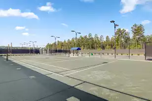 363 Tupelo Lake Dr, Summerville, SC 29486 - Photo 131