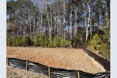 3864 Abe White Road, Awendaw, SC 29429 - Photo 5