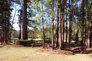 4036 Plantation House Rd, Summerville, SC 29485 - Photo 53