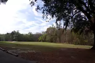 4036 Plantation House Rd, Summerville, SC 29485 - Photo 69