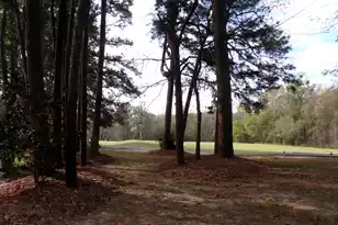 4036 Plantation House Rd, Summerville, SC 29485 - Photo 67