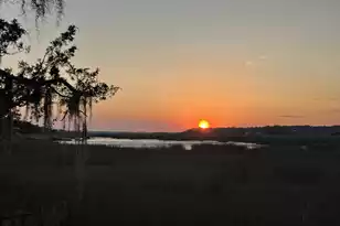 209 Jungle Rd, Edisto Beach, SC 29438 - Photo 5