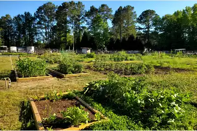 112 Plantation Drive, Manning, SC 29102 - Photo 63