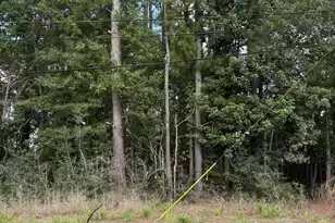 0 University Dr Lot 185, North Charleston, SC 29418 - Photo 1