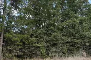 0 University Dr Lot 190, North Charleston, SC 29418 - Photo 1