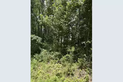 0 University Drive #Lot 224, North Charleston, SC 29418 - Photo 1