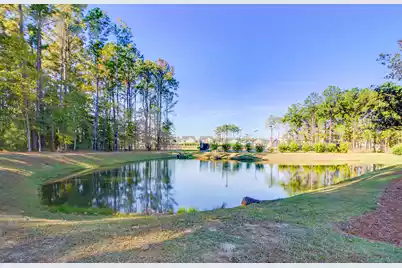 1780 Bolden Drive, Mount Pleasant, SC 29466 - Photo 63