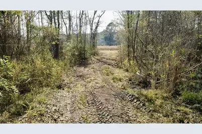 1 Westbury Road, Saint George, SC 29477 - Photo 21