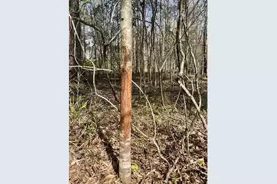 1 Westbury Road, Saint George, SC 29477 - Photo 15