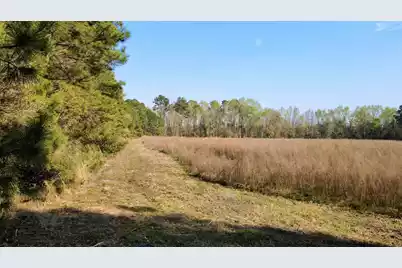 1 Westbury Road, Saint George, SC 29477 - Photo 5