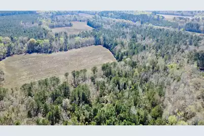 1 Westbury Road, Saint George, SC 29477 - Photo 1