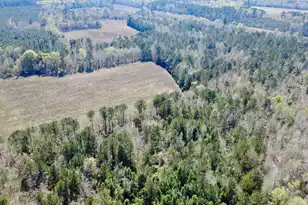 1 Westbury Rd, Saint George, SC 29477 - Photo 1