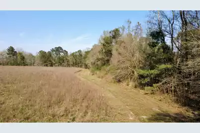 1 Westbury Road, Saint George, SC 29477 - Photo 27