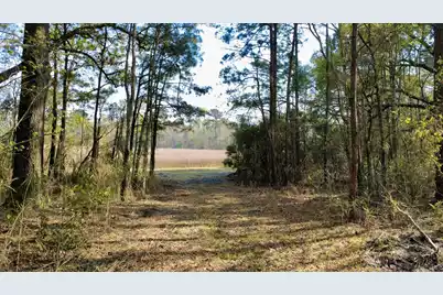 1 Westbury Road, Saint George, SC 29477 - Photo 3