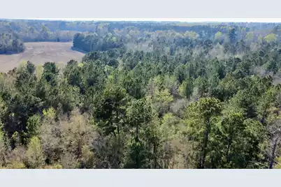 1 Westbury Road, Saint George, SC 29477 - Photo 17