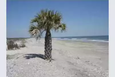 4 Sharks Tooth Circle, Edisto Island, SC 29438 - Photo 21