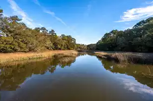 1759 Clark Hills Cir, Johns Island, SC 29455 - Photo 1