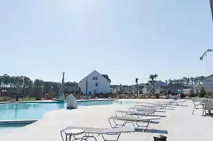 406 American Goldfinch Wy, Moncks Corner, SC 29461 - Photo 35