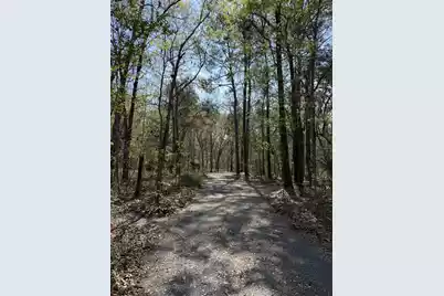 6321 Bears Bluff Road, Wadmalaw Island, SC 29487 - Photo 7