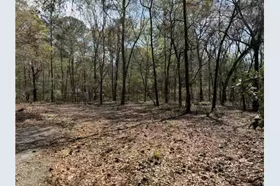 6321 Bears Bluff Road, Wadmalaw Island, SC 29487 - Photo 1