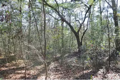 6321 Bears Bluff Road, Wadmalaw Island, SC 29487 - Photo 11