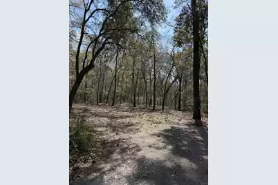 6321 Bears Bluff Road, Wadmalaw Island, SC 29487 - Photo 9