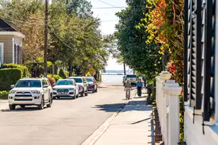 218 Venning St #3, Mount Pleasant, SC 29464 - Photo 63