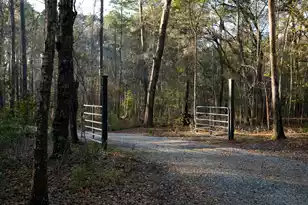 6042 Pawlett Blake Ln, Wadmalaw Island, SC 29487 - Photo 85