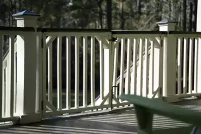 6042 Pawlett Blake Lane, Wadmalaw Island, SC 29487 - Photo 29