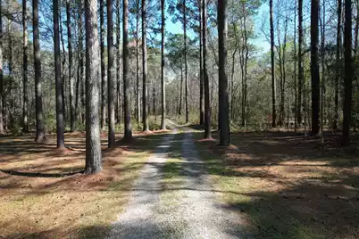 6042 Pawlett Blake Lane, Wadmalaw Island, SC 29487 - Photo 79