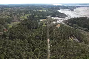 6042 Pawlett Blake Ln, Wadmalaw Island, SC 29487 - Photo 79