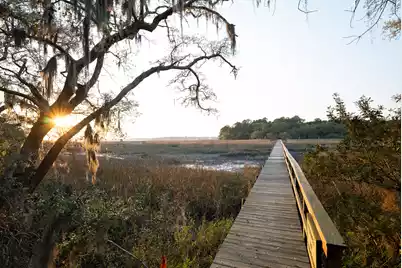 6042 Pawlett Blake Lane, Wadmalaw Island, SC 29487 - Photo 13