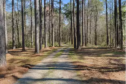 6042 Pawlett Blake Lane, Wadmalaw Island, SC 29487 - Photo 11