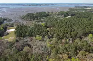 6042 Pawlett Blake Ln, Wadmalaw Island, SC 29487 - Photo 83