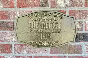 4454 Cottageville Hwy, Round O, SC 29474 - Photo 19